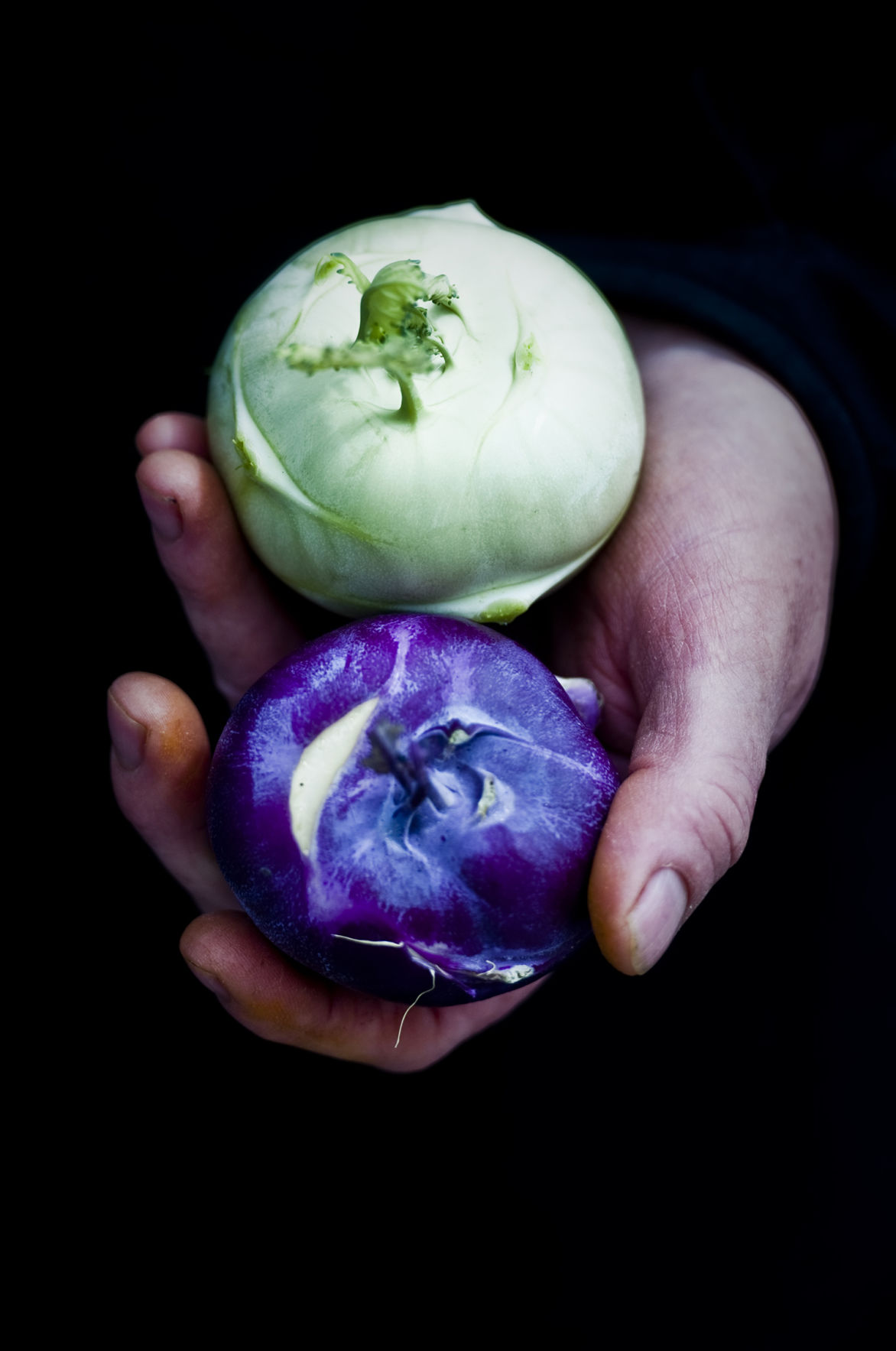 Kohlrabi varities